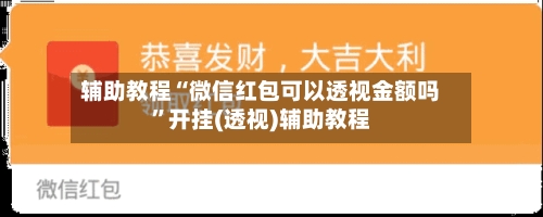 辅助教程“微信红包可以透视金额吗”开挂(透视)辅助教程-第1张图片