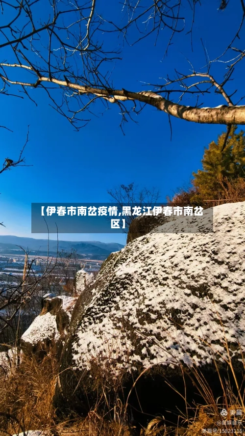 【伊春市南岔疫情,黑龙江伊春市南岔区】-第2张图片