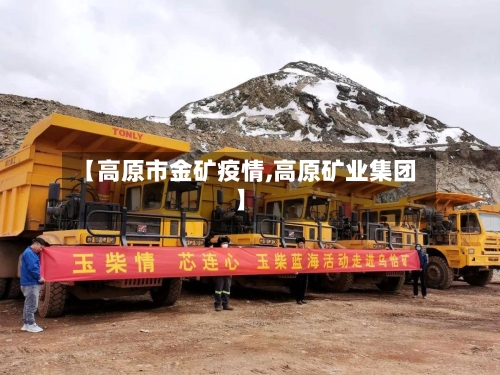 【高原市金矿疫情,高原矿业集团】-第1张图片
