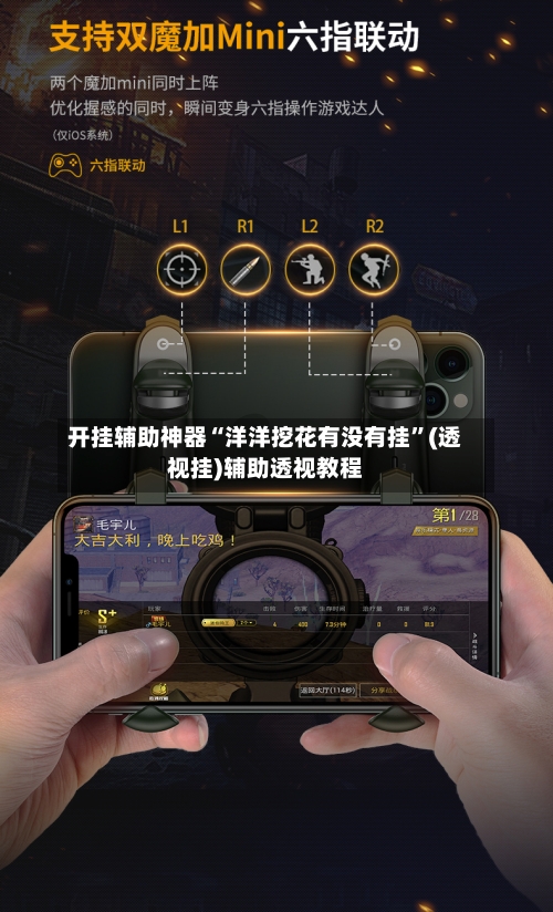 开挂辅助神器“洋洋挖花有没有挂”(透视挂)辅助透视教程-第1张图片