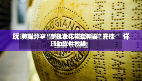 教程分享“手机金花软挂神器”开挂辅助软件教程-第2张图片
