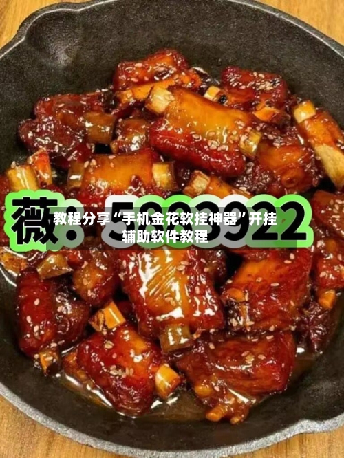 教程分享“手机金花软挂神器	”开挂辅助软件教程-第1张图片