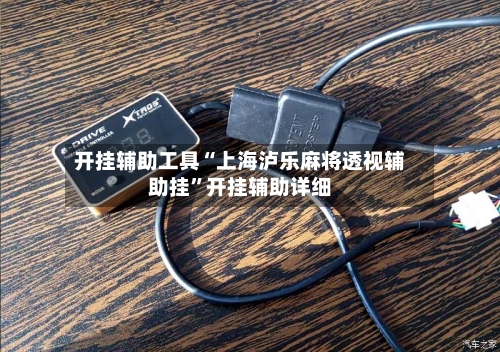 开挂辅助工具“上海泸乐麻将透视辅助挂”开挂辅助详细-第1张图片