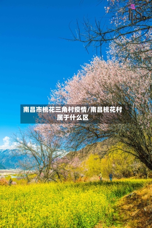 南昌市桃花三角村疫情/南昌桃花村属于什么区-第1张图片