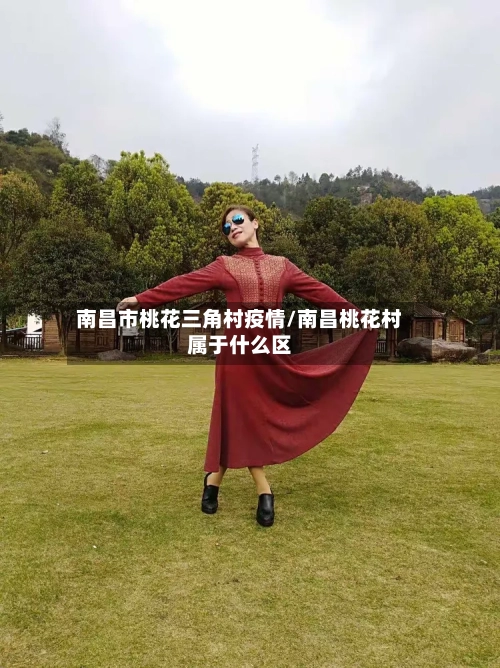 南昌市桃花三角村疫情/南昌桃花村属于什么区-第3张图片