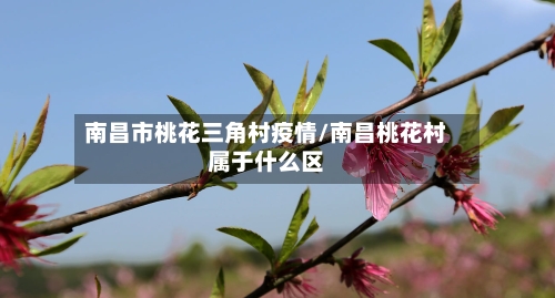 南昌市桃花三角村疫情/南昌桃花村属于什么区-第2张图片