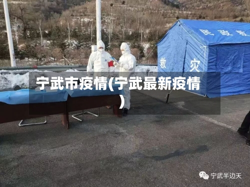 宁武市疫情(宁武最新疫情)-第3张图片