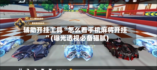 辅助开挂工具“怎么看手机麻将开挂	”(曝光透视必备猫腻)-第2张图片