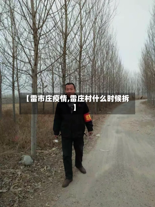 【雷市庄疫情,雷庄村什么时候拆】-第2张图片