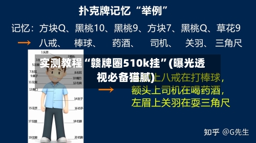 实测教程“赣牌圈510k挂”(曝光透视必备猫腻)-第3张图片