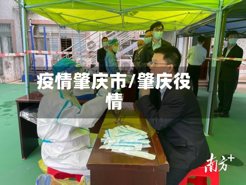 疫情肇庆市/肇庆役情-第1张图片