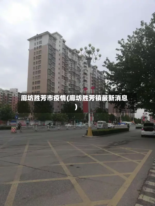 廊坊胜芳市疫情(廊坊胜芳镇最新消息)-第3张图片