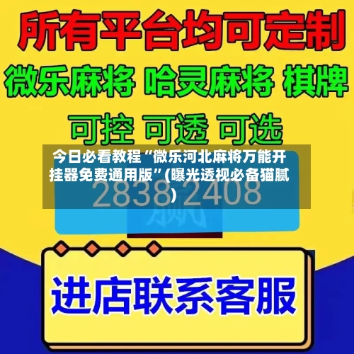 今日必看教程“微乐河北麻将万能开挂器免费通用版”(曝光透视必备猫腻)-第1张图片