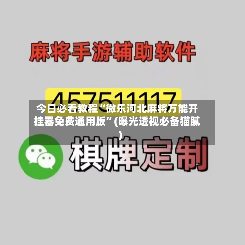 今日必看教程“微乐河北麻将万能开挂器免费通用版”(曝光透视必备猫腻)-第2张图片