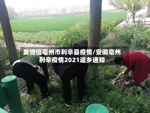 发微信亳州市利辛县疫情/安徽亳州利辛疫情2021返乡通知-第2张图片