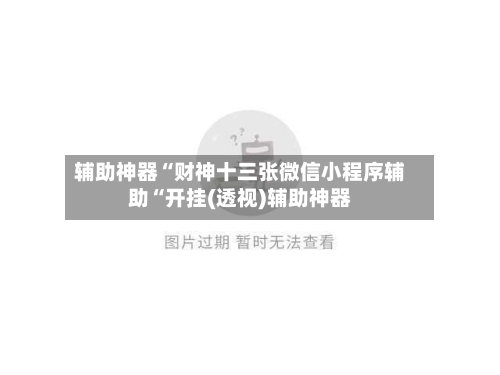 辅助神器“财神十三张微信小程序辅助“开挂(透视)辅助神器-第2张图片