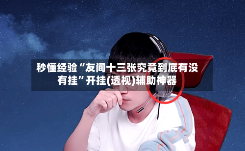 秒懂经验“友间十三张究竟到底有没有挂”开挂(透视)辅助神器-第1张图片