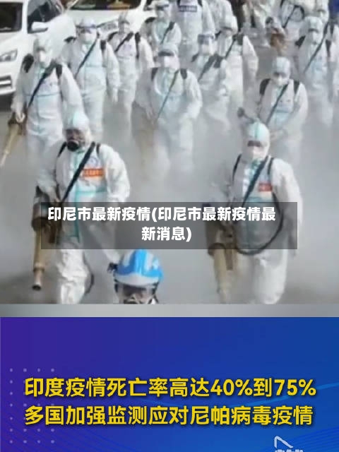 印尼市最新疫情(印尼市最新疫情最新消息)-第2张图片