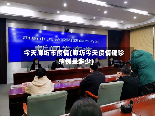 今天廊坊市疫情(廊坊今天疫情确诊病例是多少)-第3张图片