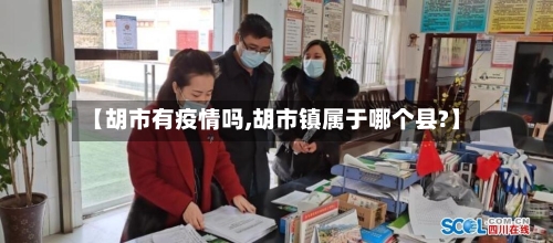 【胡市有疫情吗,胡市镇属于哪个县?】-第1张图片