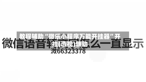 教程辅助“微乐小程序万能开挂器”开挂(透视)辅助-第1张图片