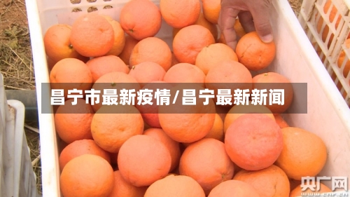 昌宁市最新疫情/昌宁最新新闻-第3张图片