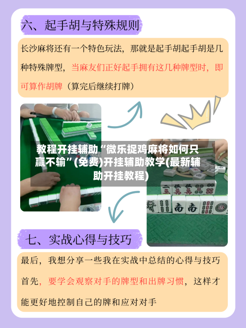 教程开挂辅助“微乐捉鸡麻将如何只赢不输”(免费)开挂辅助教学(最新辅助开挂教程)-第2张图片