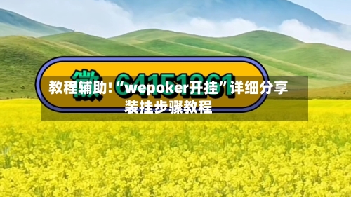 教程辅助!“wepoker开挂	”详细分享装挂步骤教程-第1张图片