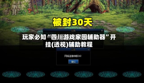 玩家必知“四川游戏家园辅助器”开挂(透视)辅助教程-第3张图片
