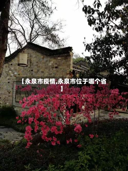 【永泉市疫情,永泉市位于哪个省】-第1张图片