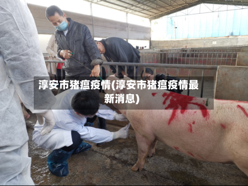 淳安市猪瘟疫情(淳安市猪瘟疫情最新消息)-第2张图片