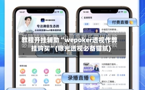 教程开挂辅助“wepoker透视作弊挂购买”(曝光透视必备猫腻)-第1张图片