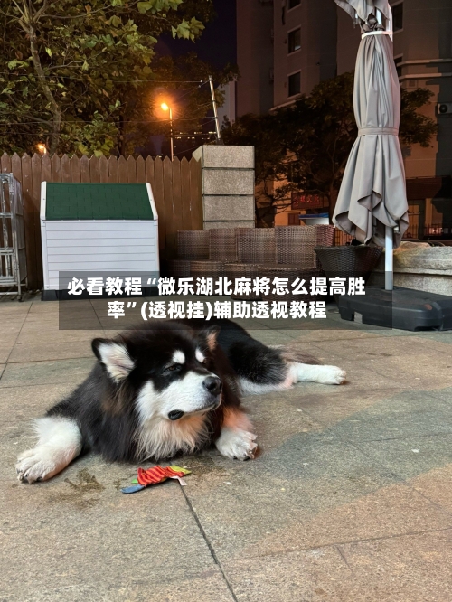 必看教程“微乐湖北麻将怎么提高胜率”(透视挂)辅助透视教程-第2张图片