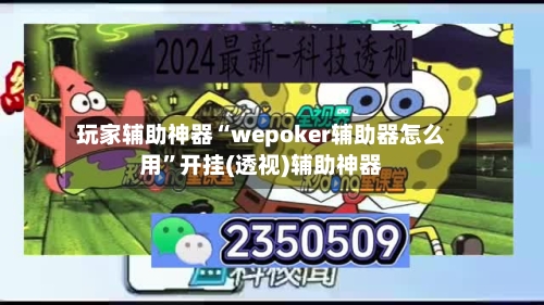 玩家辅助神器“wepoker辅助器怎么用	”开挂(透视)辅助神器-第3张图片