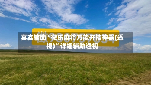 真实辅助“微乐麻将万能开挂神器(透视)	”详细辅助透视-第2张图片