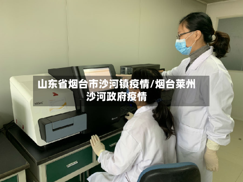 山东省烟台市沙河镇疫情/烟台莱州沙河政府疫情-第2张图片