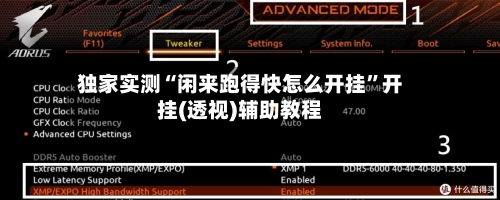 独家实测“闲来跑得快怎么开挂	”开挂(透视)辅助教程-第2张图片