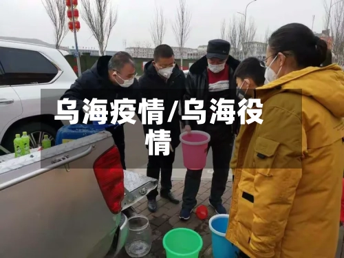 乌海疫情/乌海役情-第3张图片
