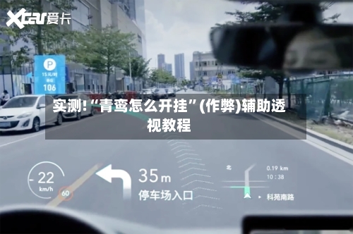 实测!“青鸾怎么开挂”(作弊)辅助透视教程-第1张图片