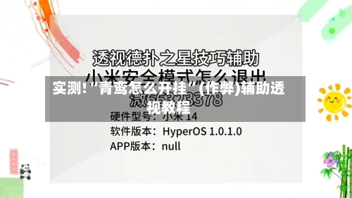 实测!“青鸾怎么开挂	”(作弊)辅助透视教程-第3张图片