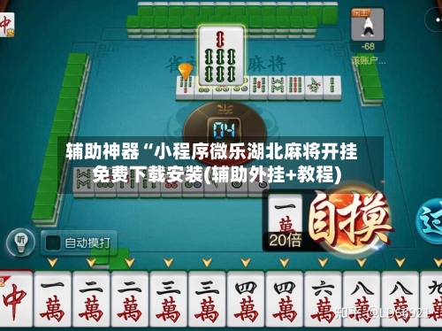 辅助神器“小程序微乐湖北麻将开挂免费下载安装(辅助外挂+教程)-第1张图片