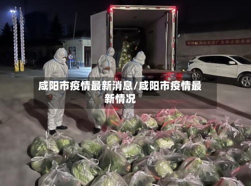 咸阳市疫情最新消息/咸阳市疫情最新情况-第3张图片