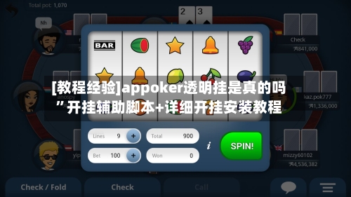[教程经验]appoker透明挂是真的吗”开挂辅助脚本+详细开挂安装教程-第3张图片