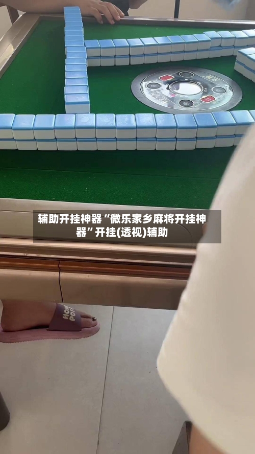 辅助开挂神器“微乐家乡麻将开挂神器	”开挂(透视)辅助-第3张图片
