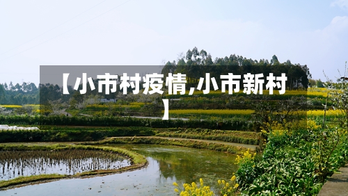 【小市村疫情,小市新村】-第2张图片