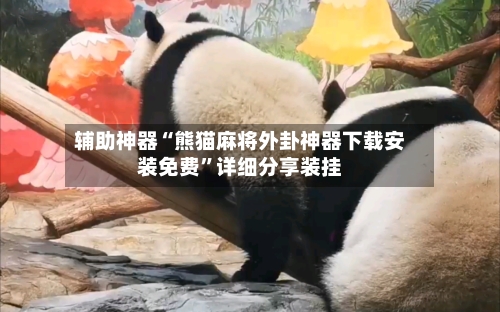 辅助神器“熊猫麻将外卦神器下载安装免费	”详细分享装挂-第2张图片