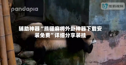 辅助神器“熊猫麻将外卦神器下载安装免费”详细分享装挂-第1张图片
