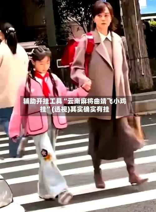 辅助开挂工具“云南麻将曲靖飞小鸡挂	”(透视)其实确实有挂-第1张图片