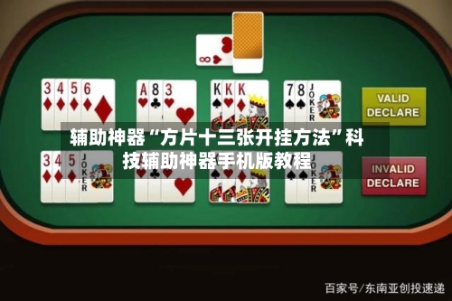 辅助神器“方片十三张开挂方法	”科技辅助神器手机版教程-第2张图片