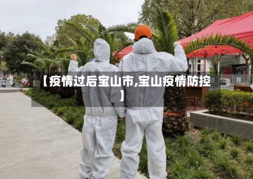 【疫情过后宝山市,宝山疫情防控】-第2张图片